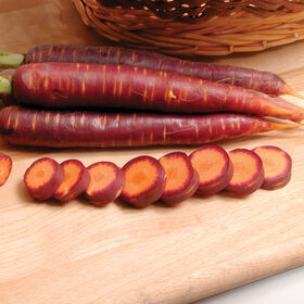 Purple Haze Main Crop Carrots