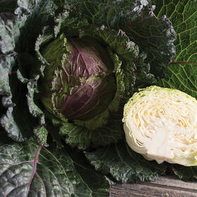 Deadon Fresh Market Cabbage
