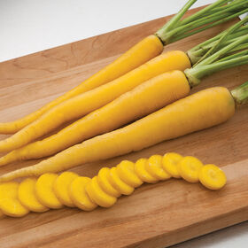 Yellowbunch Colored Carrots
