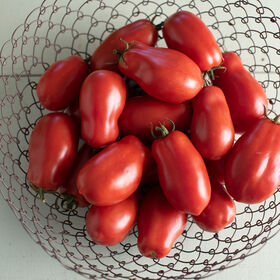 San Marzano II Heirloom Tomatoes