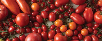 The Best Tomatoes