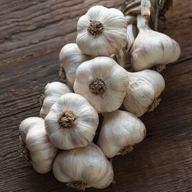 Inchelium Red Garlic