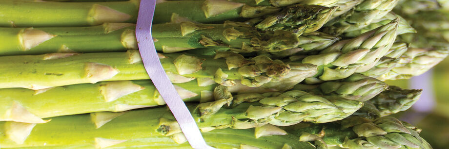 A bundle of one of the green asparagus varieties offered by Johnny's.