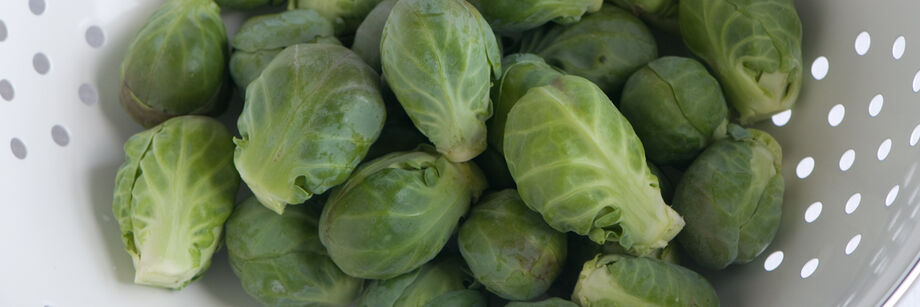 Brussels sprouts displayed in a white colander.