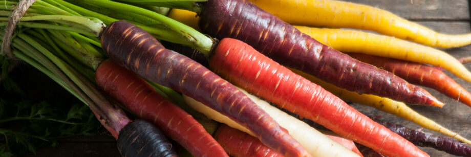 A close-up of a bunch of colored carrots.