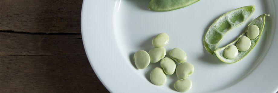 A white plate with lima beans on it.