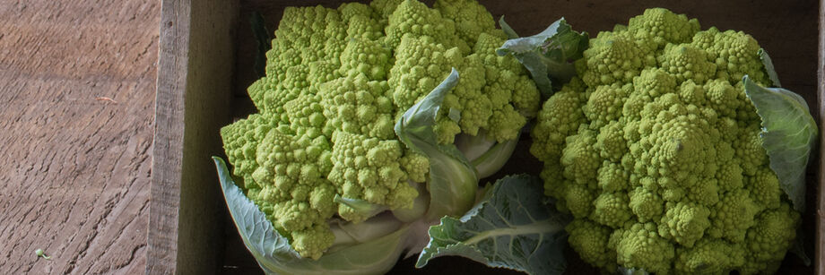 Two heads of Romanesco cabbage in a wood box. The pointed, spiral pinnacles on the heads are visible.