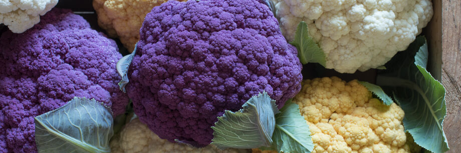 Close-up of several heads of cauliflower, including white, orange, and purple cauliflower.